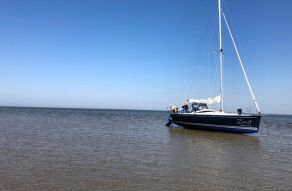 Delphia 28