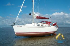 Delphia 29