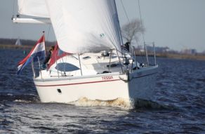 Delphia 33.3