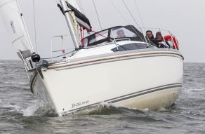 Delphia 34