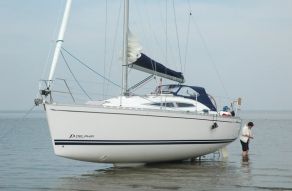 Delphia 33.3