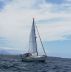 Jeanneau Sun Odyssey 36.2