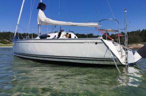 Delphia 28