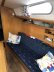 Delphia 29