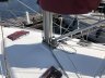 Delphia 29
