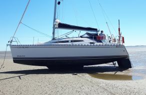 Delphia 33