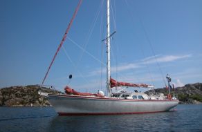 Koopmans 49