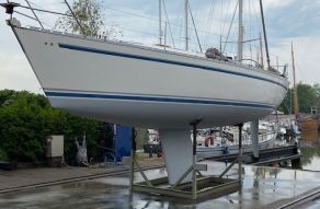 Dynamic 37