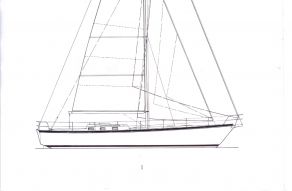 Koopmans 44