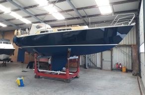 Koopmans 29 Alugator