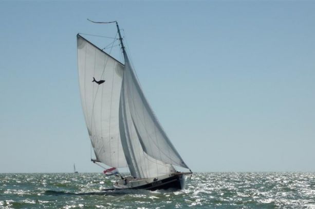 Noordkaper 34 Visserman Staal
