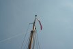 Huitema Zeeschouw