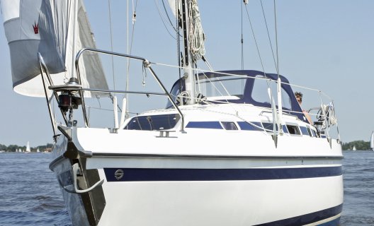 Sunbeam 33, Segelyacht for sale by White Whale Yachtbrokers - Sneek
