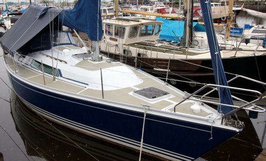 Winner 9.50, Sailing Yacht for sale by White Whale Yachtbrokers - Sneek