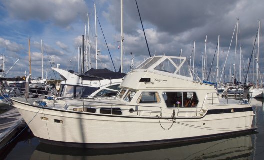 Altena 1250 Flybridge, Motor Yacht for sale by White Whale Yachtbrokers - Willemstad