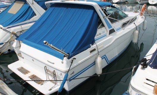 Sea Ray 300, Speedboat and sport cruiser for sale by White Whale Yachtbrokers - Almeria