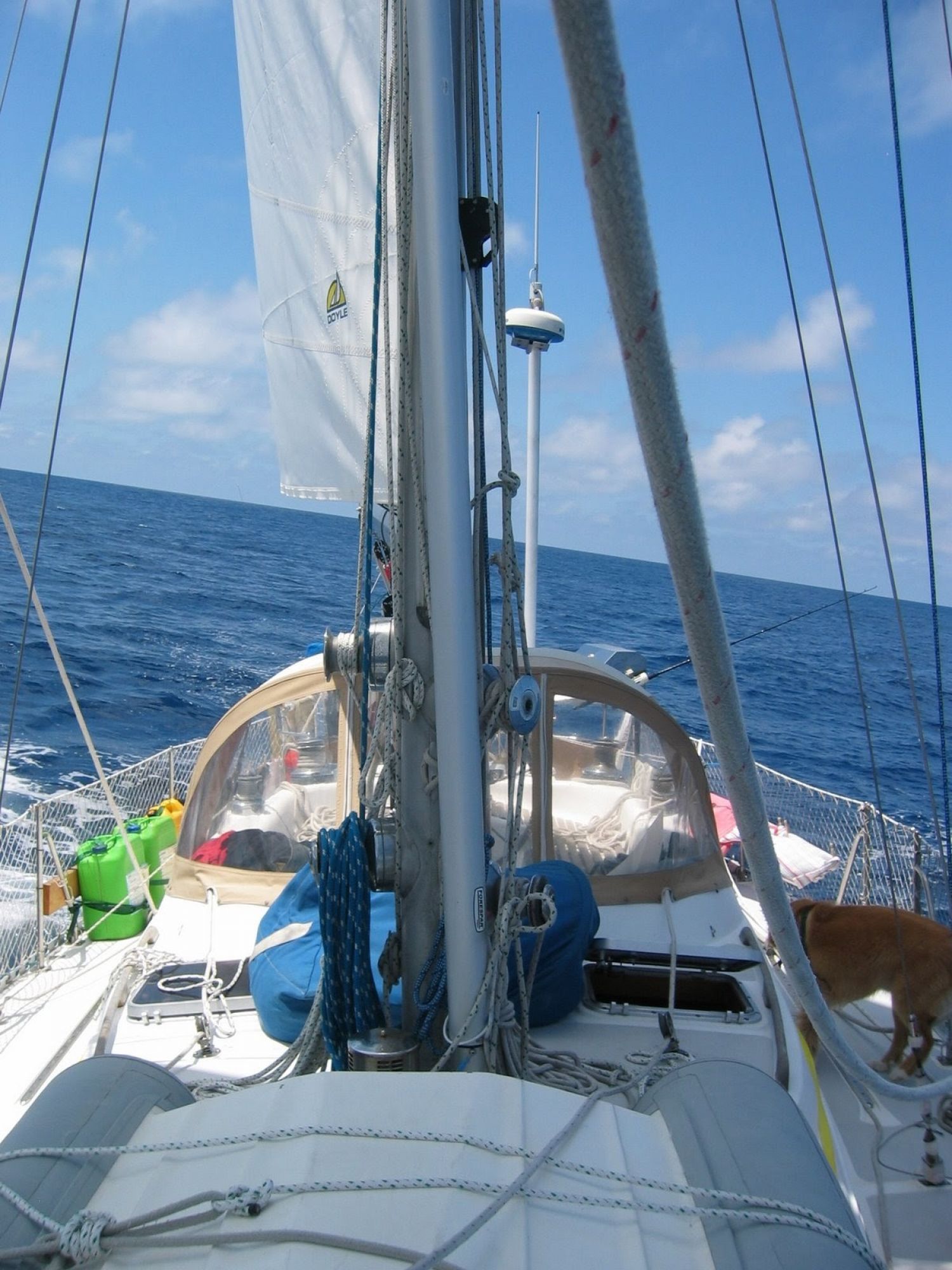 stevens 40 sailboat for sale