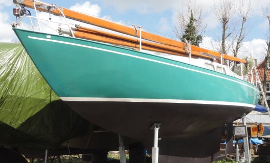 Antares Scorpion, Zeiljacht for sale by White Whale Yachtbrokers - Vinkeveen