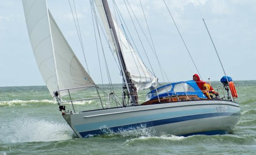 Koopmans 36, Segelyacht for sale by White Whale Yachtbrokers - Enkhuizen