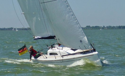 SQ 25, Sailing Yacht for sale by White Whale Yachtbrokers - Enkhuizen