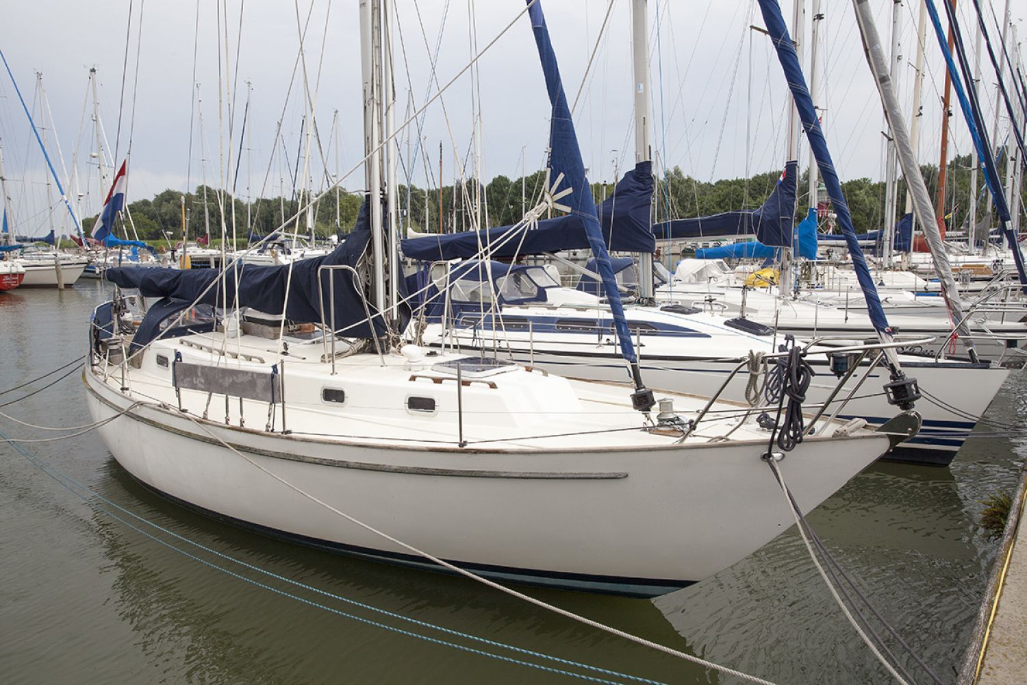 saga 36 sailboat for sale