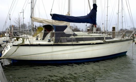 Dufour 3800, Segelyacht for sale by White Whale Yachtbrokers - Willemstad