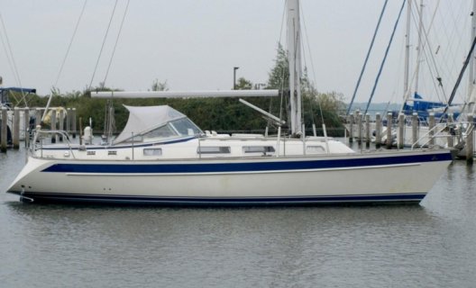 Hallberg Rassy 34 Scandinavia, Segelyacht for sale by White Whale Yachtbrokers - Willemstad