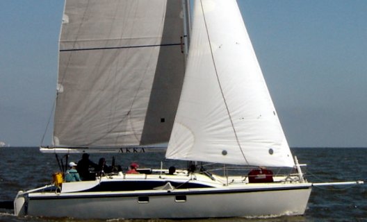 Havkat 31, Mehrrumpf Segelboot for sale by White Whale Yachtbrokers - Willemstad