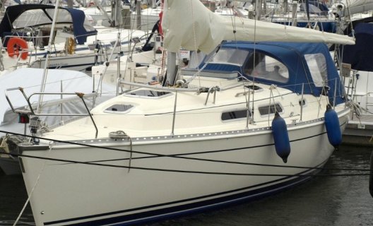 Hanse 311, Sailing Yacht for sale by White Whale Yachtbrokers - Willemstad