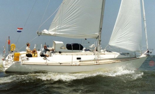 Vels 38 One Off, Segelyacht for sale by White Whale Yachtbrokers - Willemstad