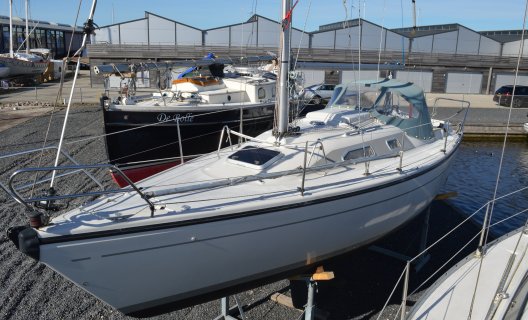Dehler 28S, Segelyacht for sale by White Whale Yachtbrokers - Sneek