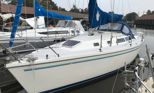Catalina 320, Zeiljacht for sale by White Whale Yachtbrokers - Sneek