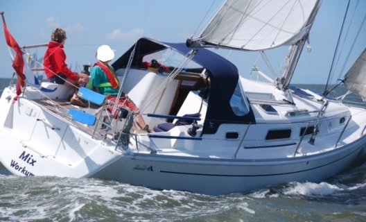 Hanse 315, Sailing Yacht for sale by White Whale Yachtbrokers - Sneek
