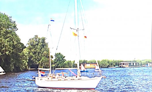 Trintella Nieuwe Motor 3A Nieuwe Zeilen, Sailing Yacht for sale by White Whale Yachtbrokers - Vinkeveen
