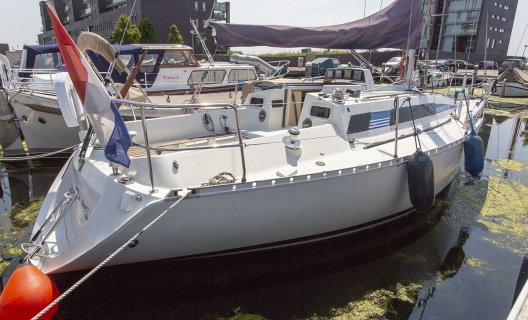 Beneteau First 305, Segelyacht for sale by White Whale Yachtbrokers - Enkhuizen