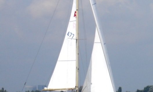 Hallberg Rassy Rasmus 35, Sailing Yacht for sale by White Whale Yachtbrokers - Vinkeveen