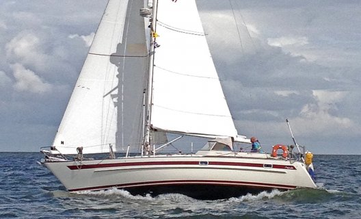 Aphrodite 37, Segelyacht for sale by White Whale Yachtbrokers - Enkhuizen