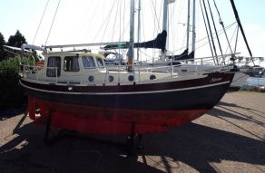 Danish Rose 31 Ms