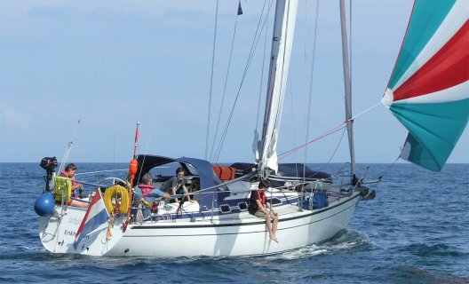 Dehler 35 Cr, Zeiljacht for sale by White Whale Yachtbrokers - Enkhuizen