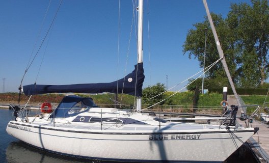 Dehler 31 Top, Segelyacht for sale by White Whale Yachtbrokers - Willemstad