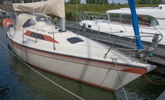 Dehler 31 (Duetta 94), Sailing Yacht for sale by White Whale Yachtbrokers - Enkhuizen