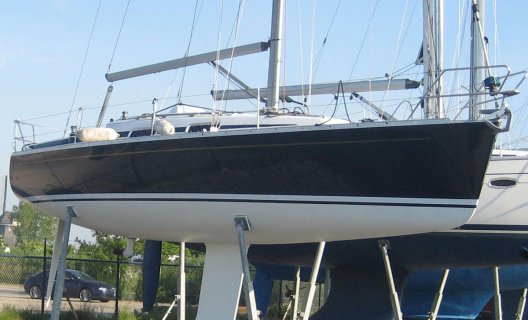 Grand Soleil 34.1, Segelyacht for sale by White Whale Yachtbrokers - Sneek
