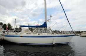 Grampian 37