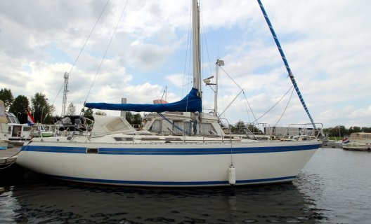 Grampian 37, Segelyacht for sale by White Whale Yachtbrokers - Limburg