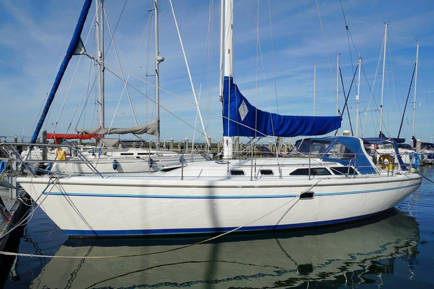 sailboat catalina 36