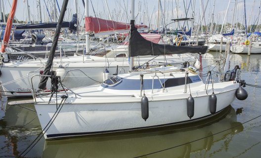 Fan 20, Segelyacht for sale by White Whale Yachtbrokers - Enkhuizen
