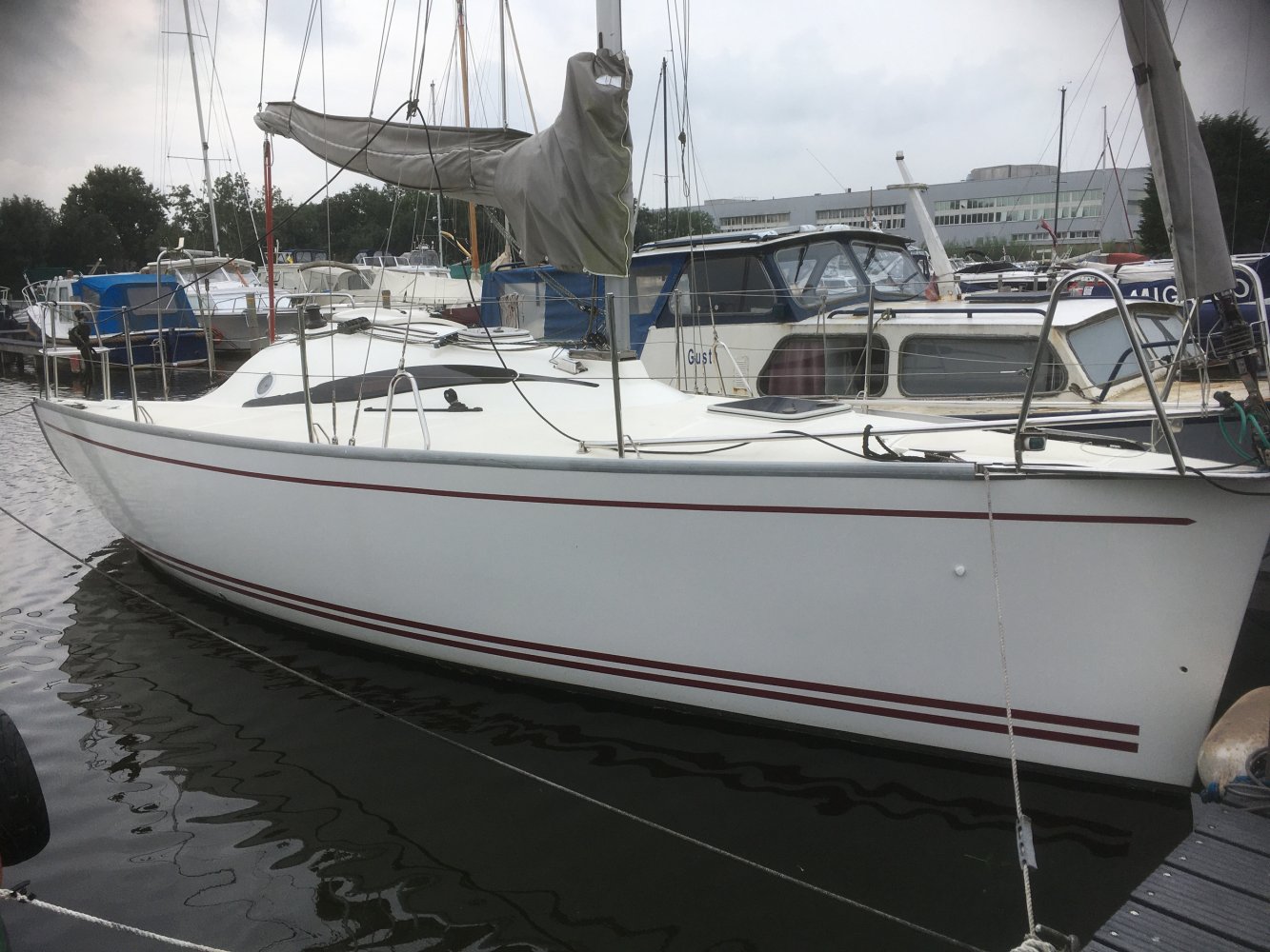 delphia 26 segelboot