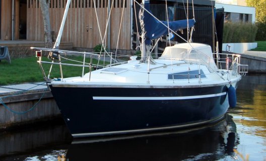 Cobra 850, Sailing Yacht for sale by White Whale Yachtbrokers - Sneek