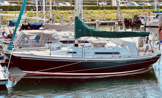 Nicholson 31, Segelyacht for sale by White Whale Yachtbrokers - Willemstad