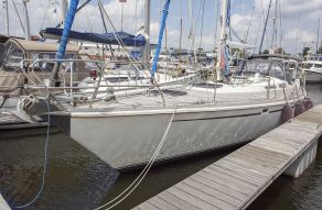 Trintella 42